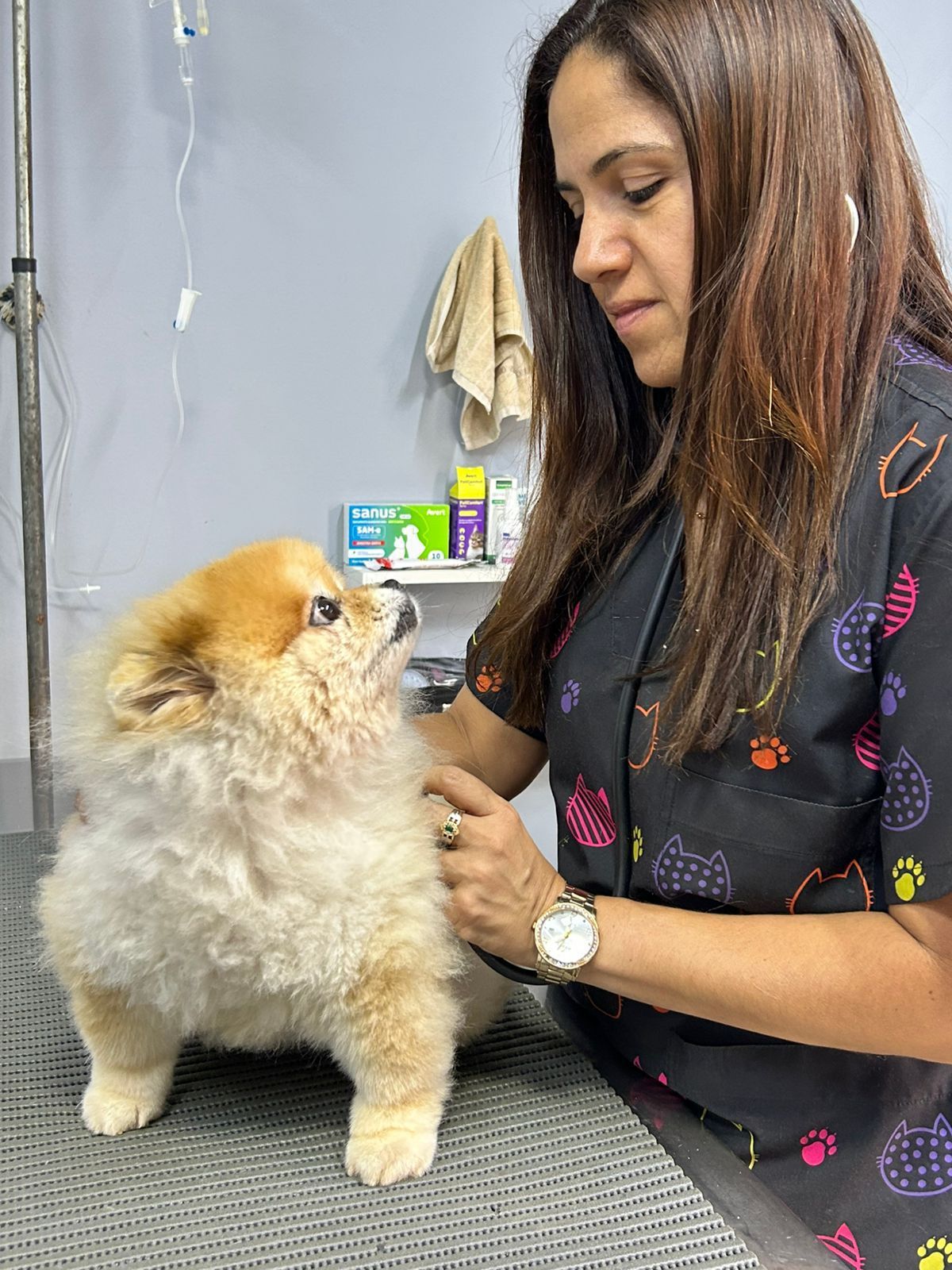 Veterinária realizando exame clínico