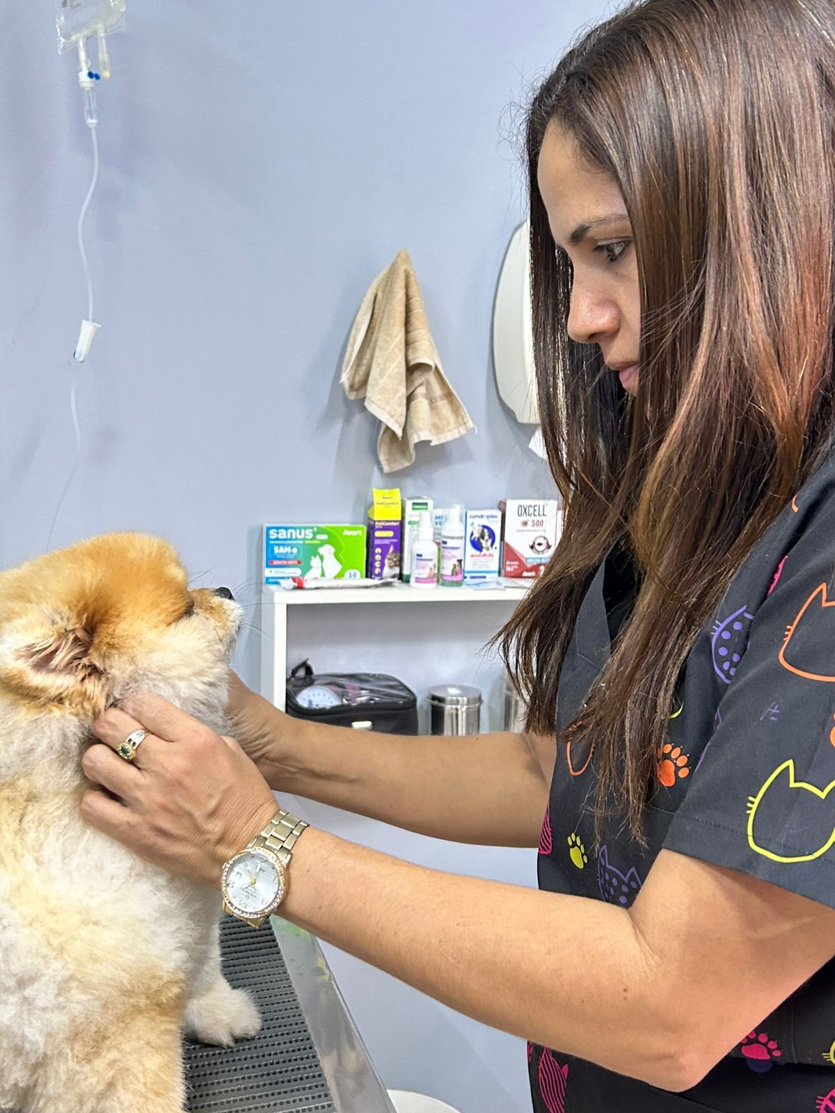 Exame veterinário em detalhe